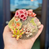 A hand holding a small decorative coral-like sculpture with pink, yellow, and beige organic details against a blurred indoor background.