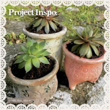 Pottery Workshop: Whimsically Wonky Planters (SATURDAY, 8/22) **THE CARGO DISTRICT**