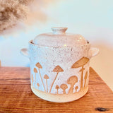 6-Week INTERMEDIATE Pottery Wheel Series (WEDNESDAYS, 3/11-4/15)