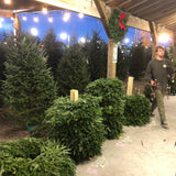 Ceramics in the Christmas Trees: Sculpting Ornaments in the Biggers Market Christmas Tree Farm (FRIDAY, 12/4)